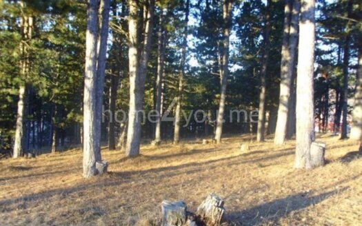 Земельный участок в отличном месте, предназначенный для строительства туристического апарт-отеля, Колашин