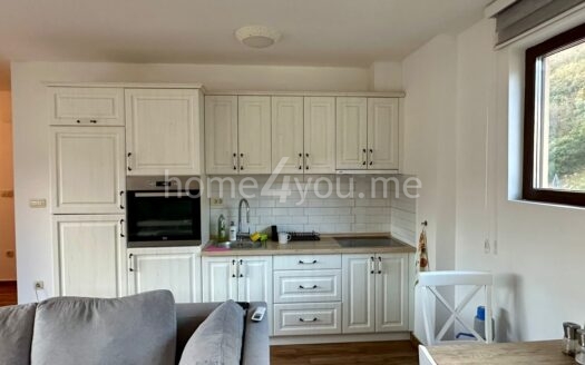 Jednosoban namješten stan sa pogledom na more, Bulevar, Bečići, Budva