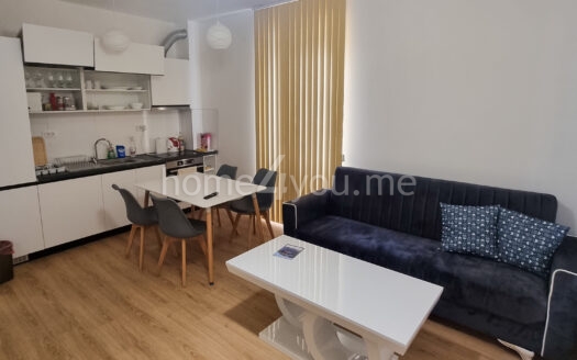 Namješten jednosoban stan sa garažom, novogradnja, Kolašin