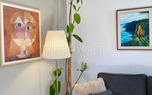Cozy, fully renovated house with yard near the botanical garden, Kolašin