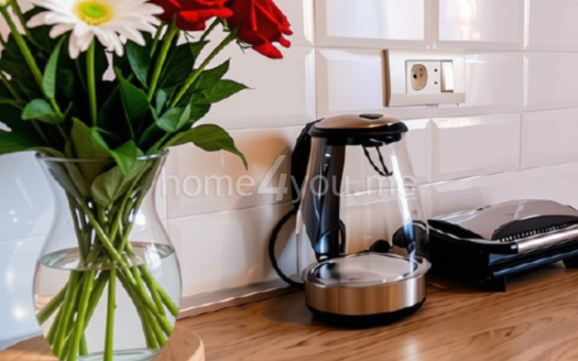 Cozy, fully renovated house with yard near the botanical garden, Kolašin