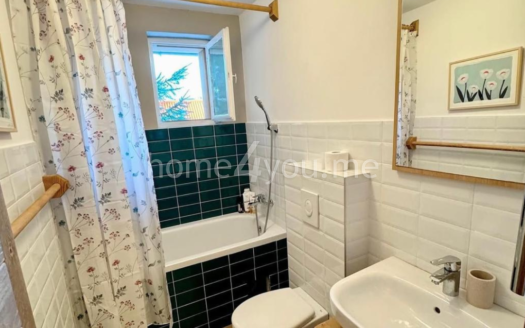 Cozy, fully renovated house with yard near the botanical garden, Kolašin