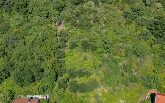Plac u Budvi sa UTU za gradnju na odlicnoj lokaciji I pogledom na more, Podkosljun