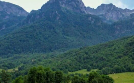 Gradjevinsko zemljište na odličnoj lokaciji, predvidjeno za gradnju turističko-apartmanskog naselja, Kolašin