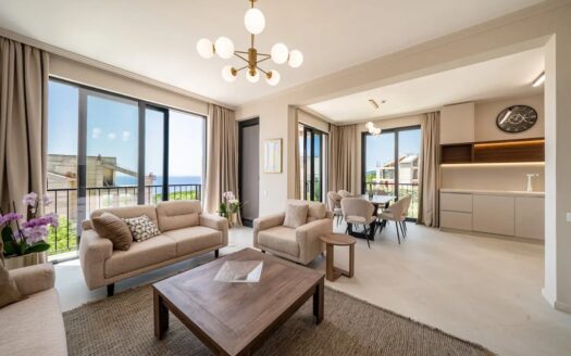 Moderna, namještena vila sa bazenom od investitora , Reževići, Budva