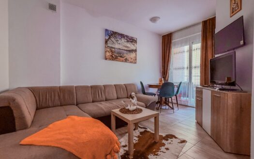 Namješten jednosoban stan u novijoj zgradi, Velji Vinogradi, Budva